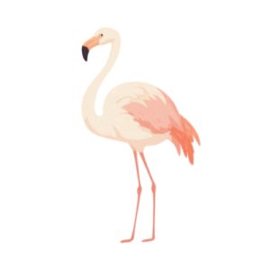 Flamingo Art Print